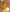 Anyeluz Cabello Anyeluz Shampoo Manzanilla 500ml PT0341