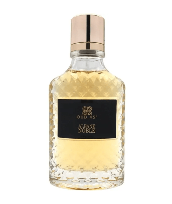 Reyane Tradition Fragancias Reyane Tradition Albane Noble Oud 45  Men EDP 100ml Spray 3700066701510