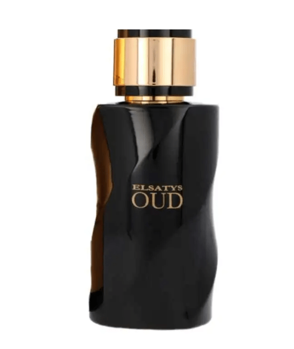 Reyane Tradition Fragancias Reyane Tradition Gentle Elsatys Men EDP 100ml Spray