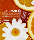 Wella Professionals Cabello Wella Professionals Ultimate Smooth Shampoo 250ml 4064666906102