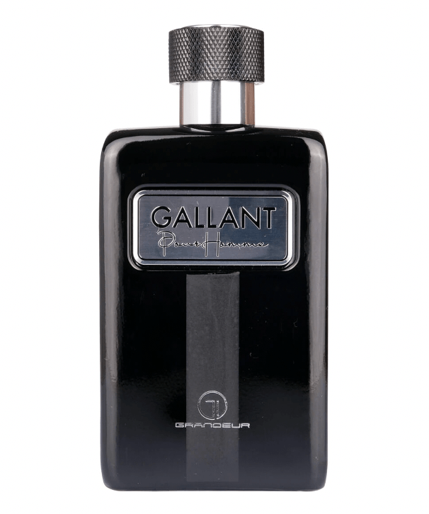 Grandeur Fragancias Grandeur Elite Gallant Men EDP 100ml 5055810029753