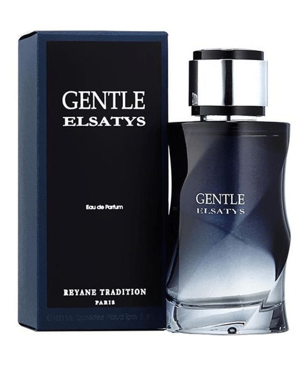 Reyane Tradition Fragancias Reyane Tradition Gentle Elsatys Men EDP 100ml Spray 3700066713636